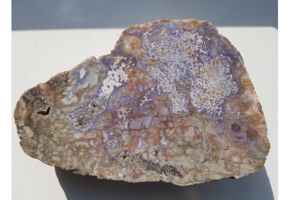 Agat "rzeczny" z Bobru w Sudetach (river agate)