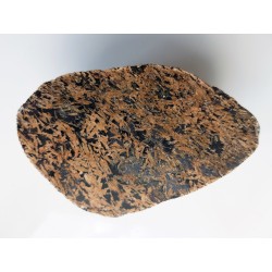 Gabro o wyrazistej teksturze ofitowej z Dźwirzyna, eratyk