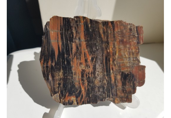 Drewno skrzemieniałe z rowu Świerzawy, wyjątkowa lokalizacja