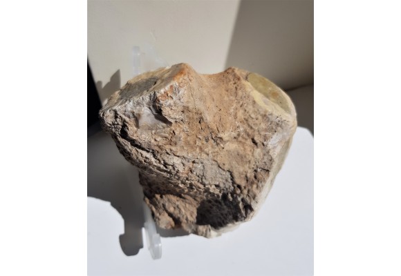 Duży okaz krzemiennej gąbki, eratyk ze Świebodzina, lubuskie