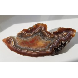 Agat "rzeczny" z Bobru w Sudetach (river agate)