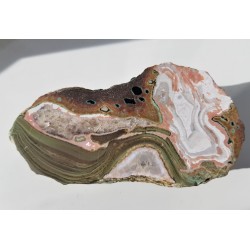 Wyjątkowy agat z Lubiechowej