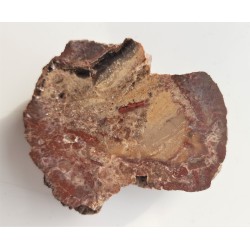 Pseudoagat, jaspisoid z Czerwieńczyc