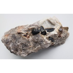 Zrost szerli oraz granat w pegmatycie z Piławy Górnej