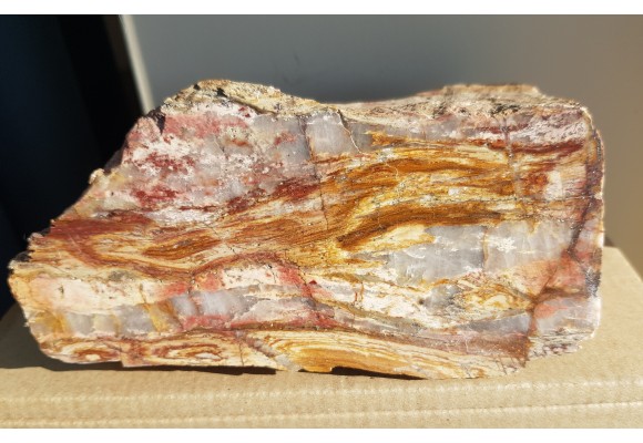 Polerowany okaz ozdobnego łupku kwarcowo-serycytowego z okolic Żarowa