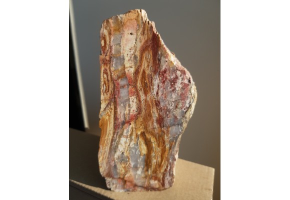 Polerowany okaz ozdobnego łupku kwarcowo-serycytowego z okolic Żarowa