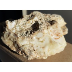 Duży opal porcelanowy ze Szklar