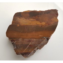 Jaspis pejzażowy z Pilc