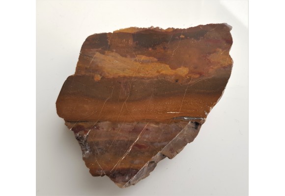 Jaspis pejzażowy z Pilc