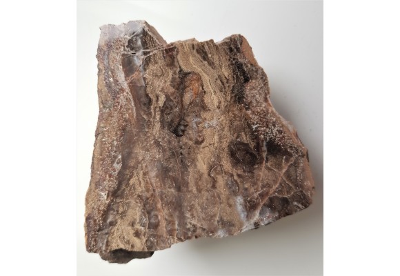 Jaspis z Czerwieńczyc