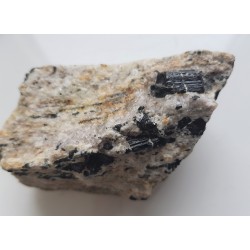 Polerowany przekrój przez jasny gnejs z turmalinami z Różanej k. Bielawy w Górach Sowich