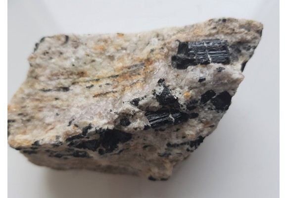 Polerowany przekrój przez jasny gnejs z turmalinami z Różanej k. Bielawy w Górach Sowich