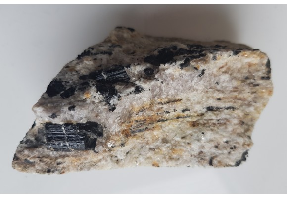 Polerowany przekrój przez jasny gnejs z turmalinami z Różanej k. Bielawy w Górach Sowich