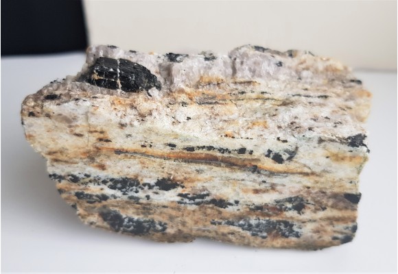 Polerowany przekrój przez jasny gnejs z turmalinami z Różanej k. Bielawy w Górach Sowich