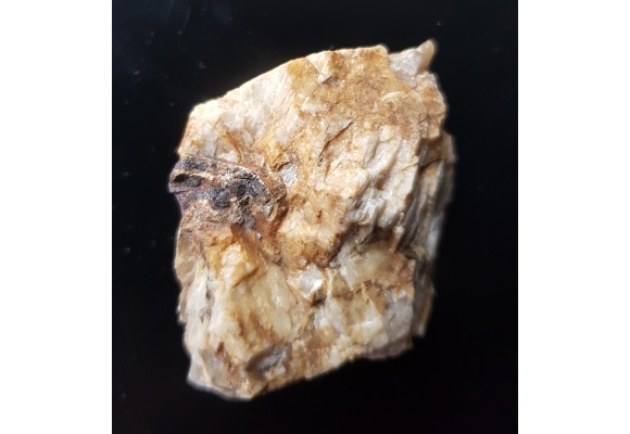 Sarkopsyd z Michałkowej w Górach Sowich