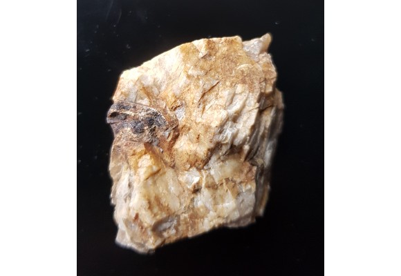 Sarkopsyd z Michałkowej w Górach Sowich