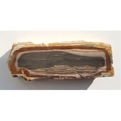 Limnokwarcyt pejzażowy ze Słowacji