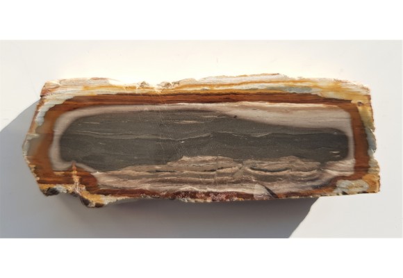 Limnokwarcyt pejzażowy ze Słowacji