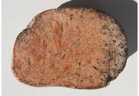 Wyjątkowy pegmatyt ze skaleniami z efektem adularescencji, eratyk, lubuskie