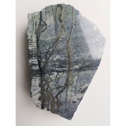 Okruszcowany dolomit ze Złotego Stoku