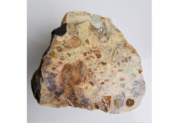 Barwny wapień z dużymi klastami (okruchami) skał osadowych