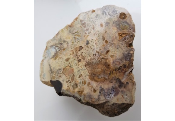 Barwny wapień z dużymi klastami (okruchami) skał osadowych