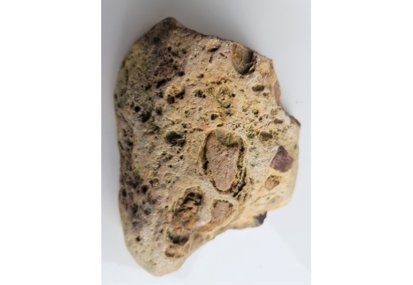 Barwny wapień z dużymi klastami (okruchami) skał osadowych