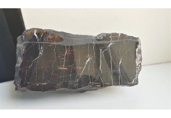 Piękne drewno skrzemieniałe z Okrzeszyna z karbońskiej arkozy