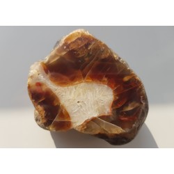 Agat "rzeczny" z Bobru w Sudetach (river agate)