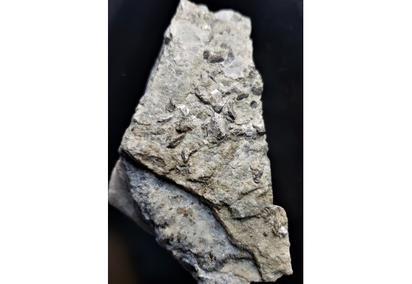 Duże kryształy arsenopirytu z Radzimowic