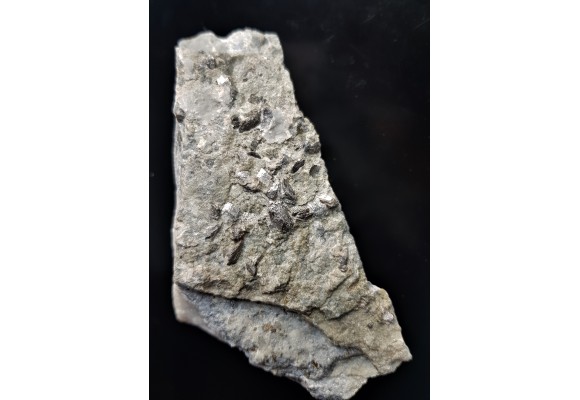 Duże kryształy arsenopirytu z Radzimowic