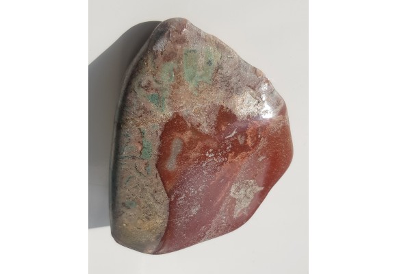 Jaspisoid pejzażowy z Lubiechowej w Sudetach