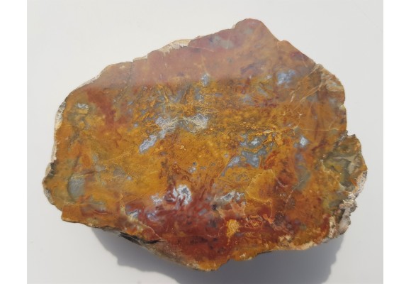 Jaspiso-agat z aluwiów Nysy Kłodzkiej