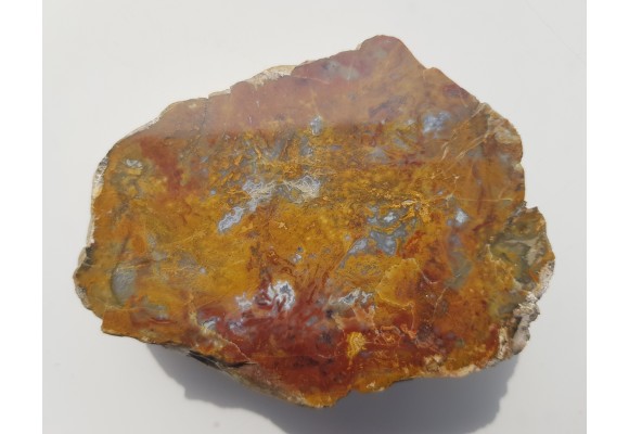 Jaspiso-agat z aluwiów Nysy Kłodzkiej