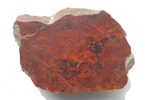 Orbikularny jaspis z okolic Kamiennej Góry