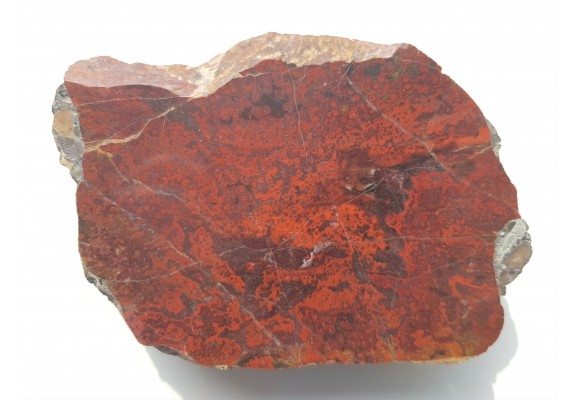 Orbikularny jaspis z okolic Kamiennej Góry