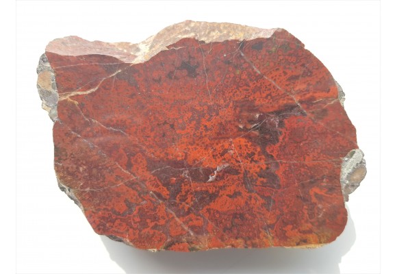 Orbikularny jaspis z okolic Kamiennej Góry