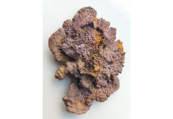 Duży okaz miedzi rodzimej z kopalni złota w Sudetach Wschodnich