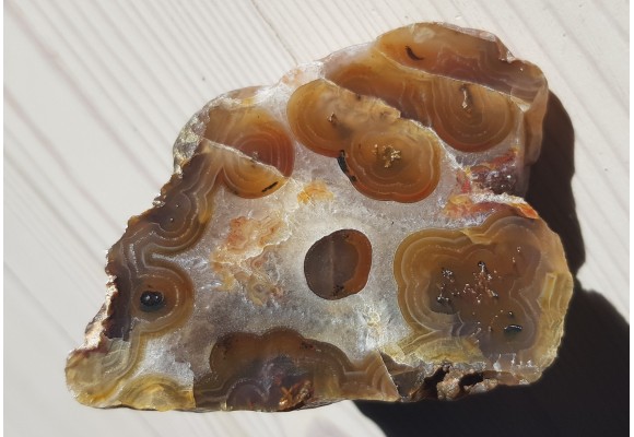 Karneol, agat "rzeczny" z Bobru w Sudetach (river agate)