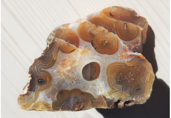 Karneol, agat "rzeczny" z Bobru w Sudetach (river agate)