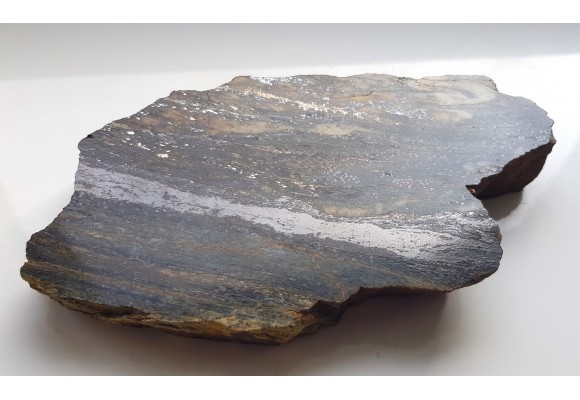 Okruszcowanie rudne w łupkach Pasma Kamienieckiego