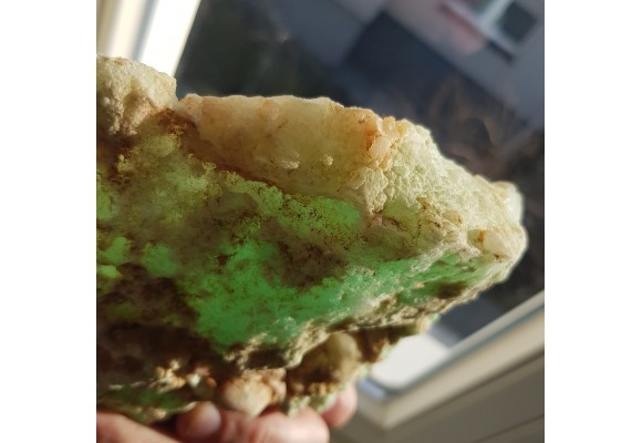 Wyjątkowy okaz chryzoprazu z Wir k. Sobótki