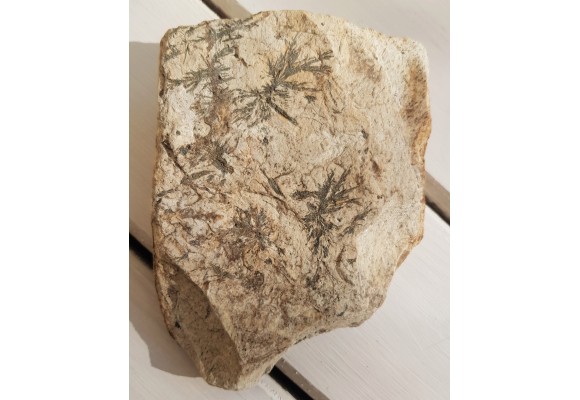 Gedryt (?), hornblenda (?) z Gierczyna w Górach Izerskich