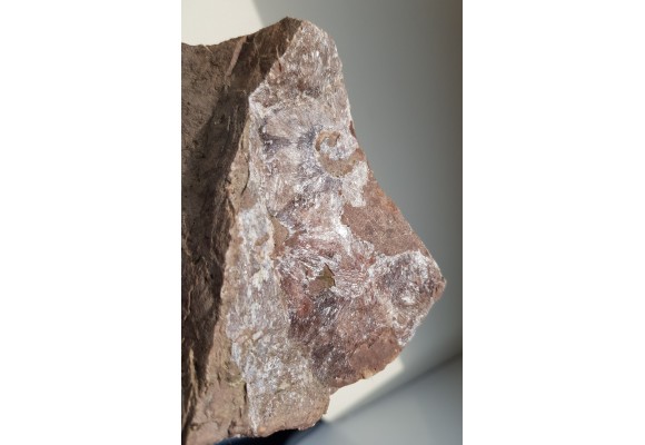 Kwarc gwiaździsty z Okrzeszyna