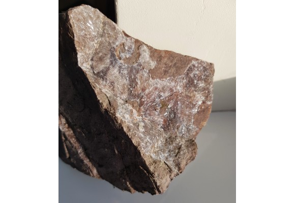 Kwarc gwiaździsty z Okrzeszyna