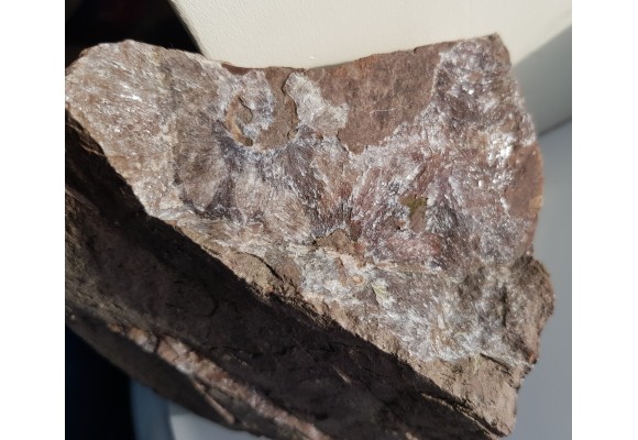 Kwarc gwiaździsty z Okrzeszyna