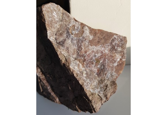 Kwarc gwiaździsty z Okrzeszyna