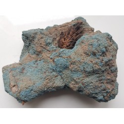 Wiwianit z pobrzeża Bałtyku