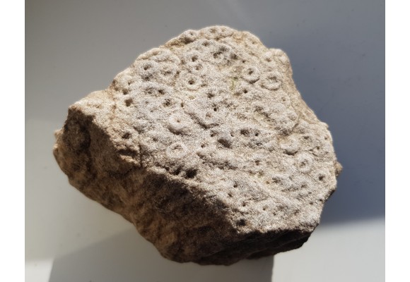 Piaskowiec scolithusowy (eratyk), lubuskie