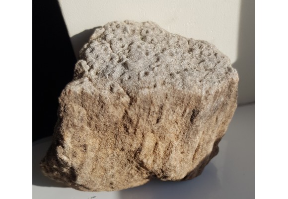 Piaskowiec scolithusowy (eratyk), lubuskie